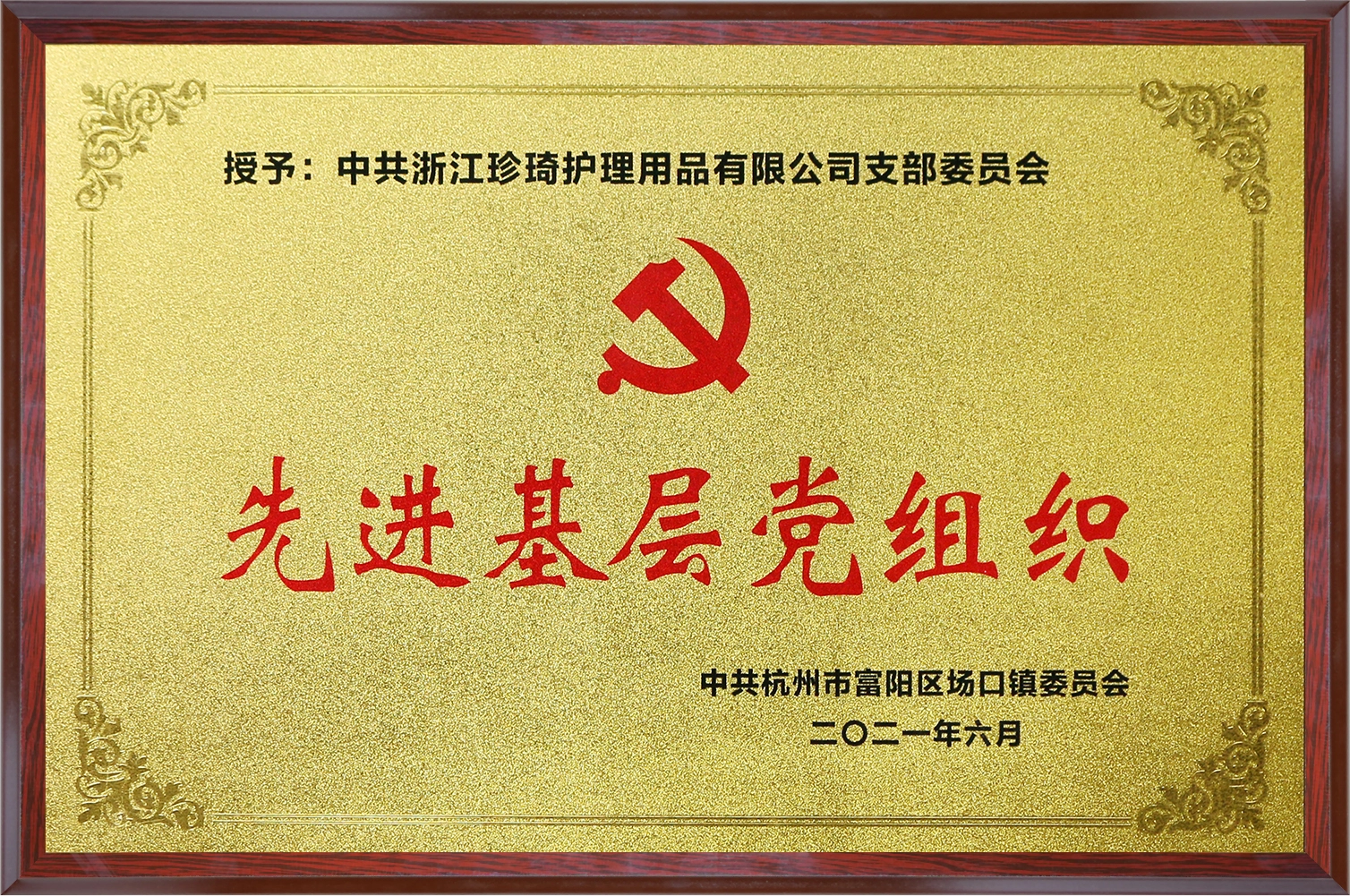 Advanced Grassroots Party Organization